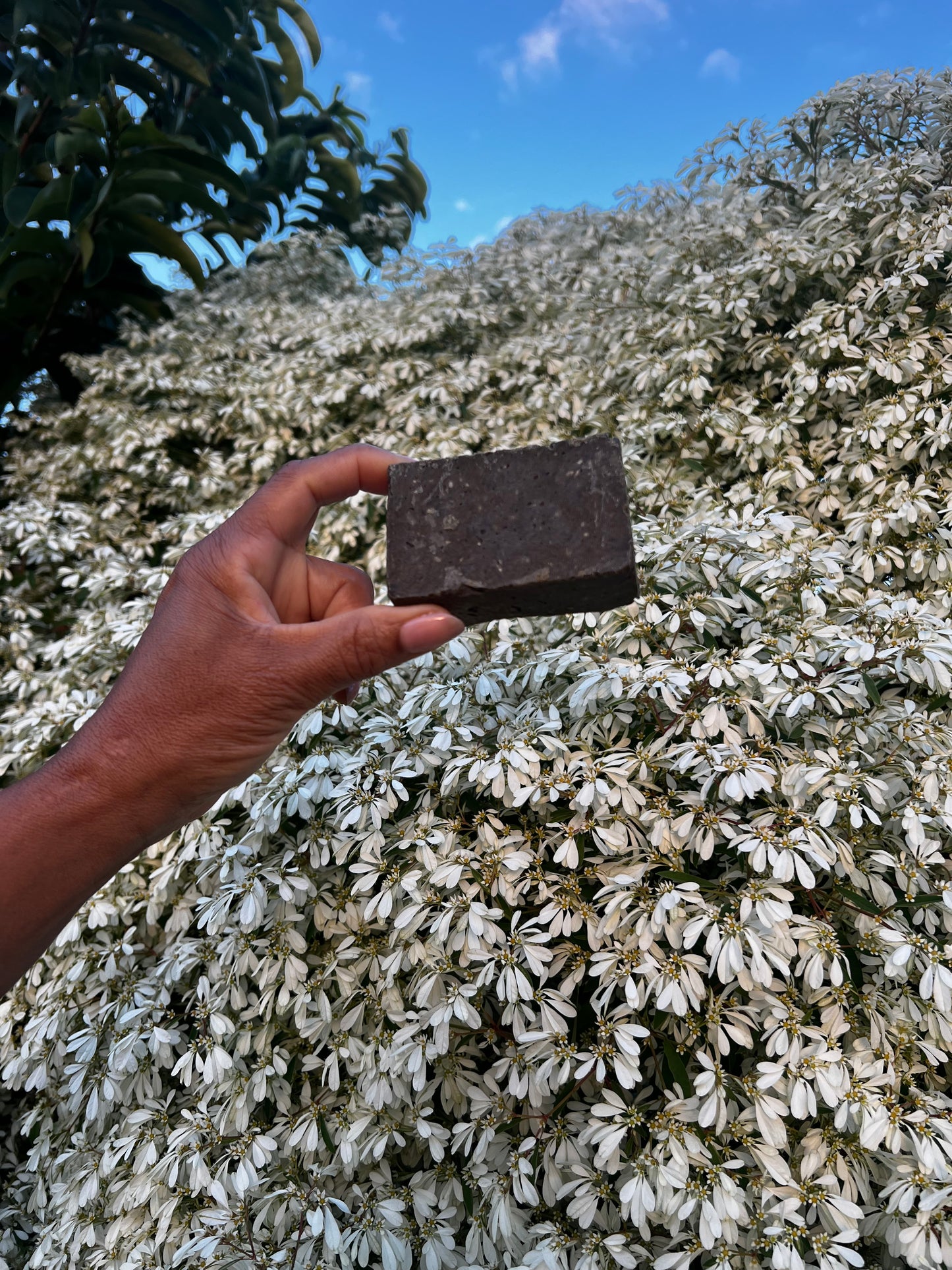 Bar Mocca Caraïbes - Shampoing Solide Fortifiant au Café & Plantes de Guadeloupe