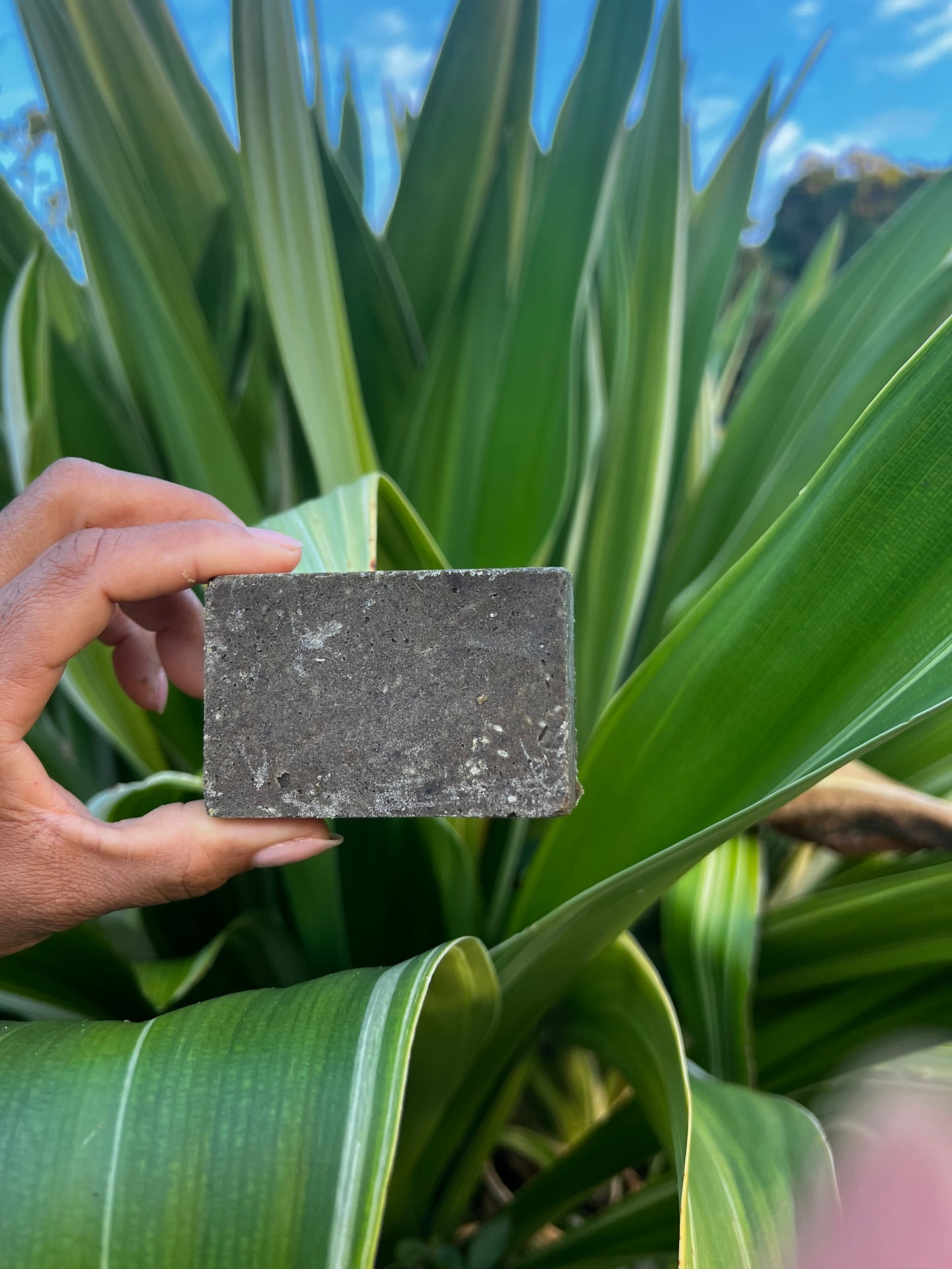 Bar Mocca Caraïbes - Shampoing Solide Fortifiant au Café & Plantes de Guadeloupe