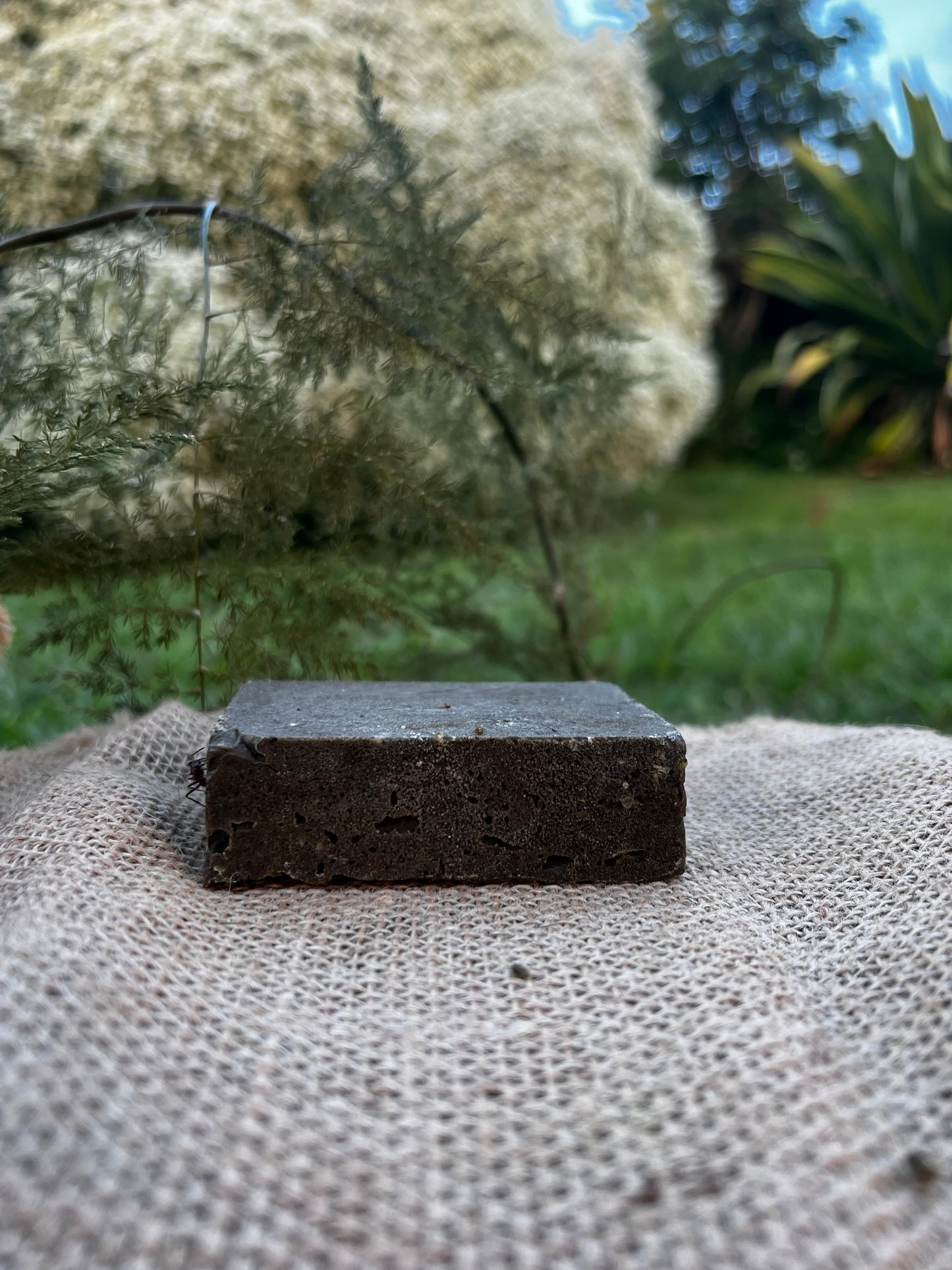 Bar Mocca Caraïbes - Shampoing Solide Fortifiant au Café & Plantes de Guadeloupe